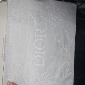 Dior Pouch